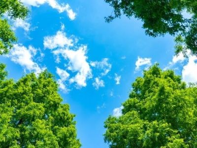 植栽イメージ｜ザ・パークハウス浜田山季の杜