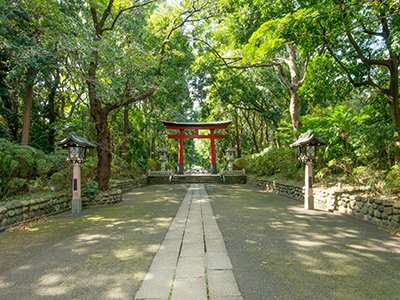 大宮八幡宮｜ザ・パークハウス濱田山季の杜