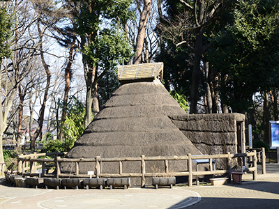 塚山公園｜ザ・パークハウス濱田山季の杜